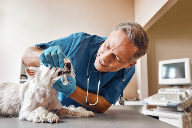 Best Emergency Dental Extractions in Fairdale, PA